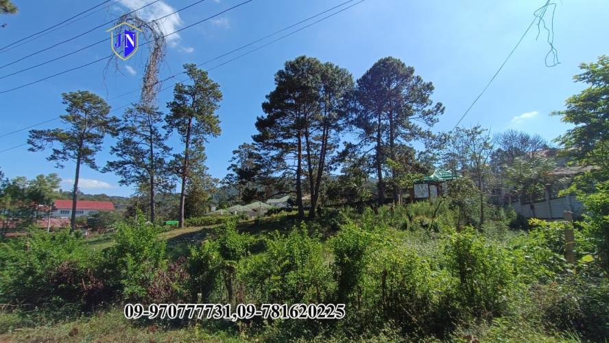 Kalaw Land