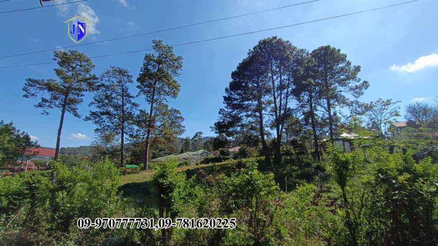 Kalaw Property