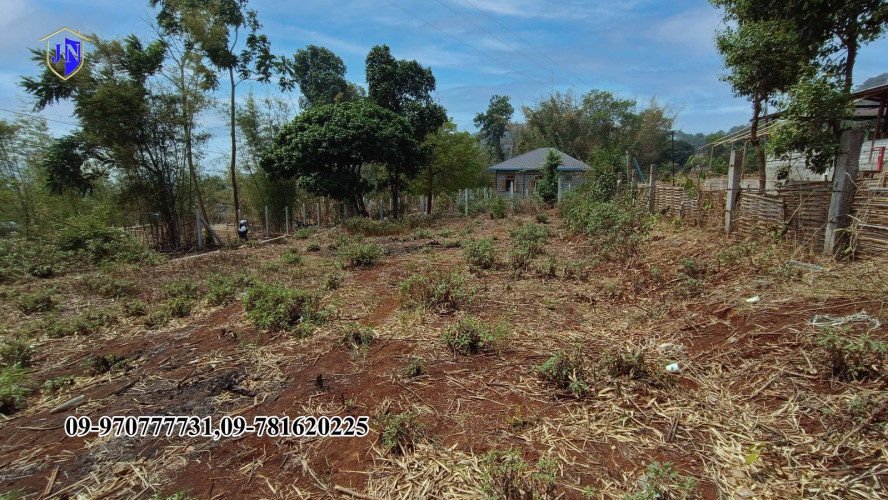 Kalaw